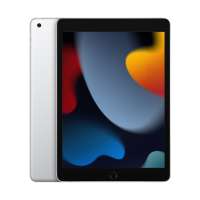 Apple iPad 9th Gen 2021 10.2 Inch, 256GB, Wi-Fi Only, Silver MK2P3